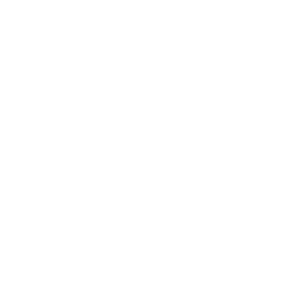 Case Study: Power Plant Hydrogen Explosion - WHA International, Inc.