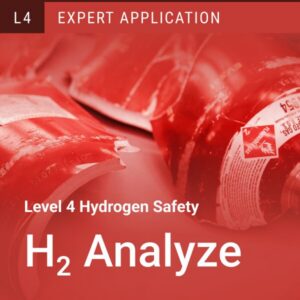 Level 4: H2 Analyze